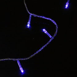 100 LED 10m String Decoration Light for Christmas Party Wedding Blue 

110V